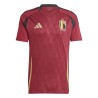 Maillot Domicile Belgique 24