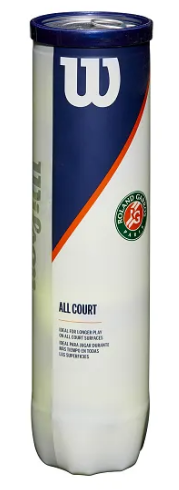 Roland Garros all court x4 balle Wilson