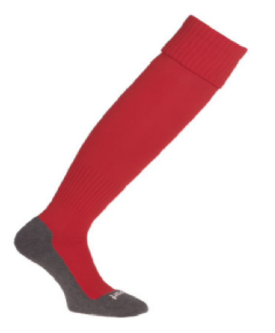 Team Pro Essential Chaussettes